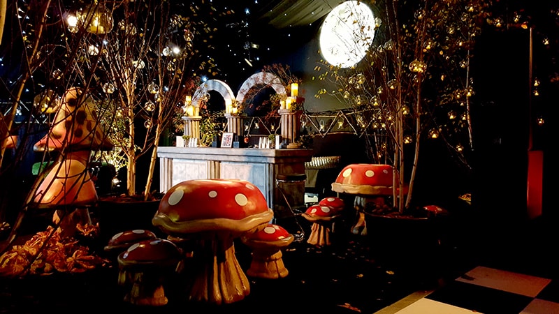 ALICE IN WONDERLAND SWEET 16